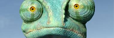 chameleon rango2
